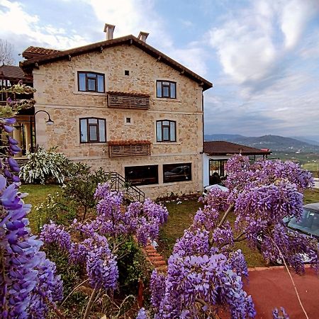 Hayat Oksijen Resort Ordu Exterior foto